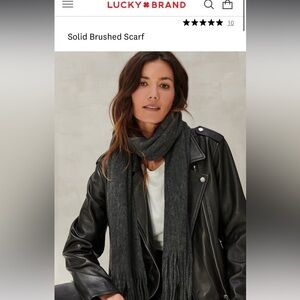 Lucky Brand Solid Brushed Scarf in Dark Grey Unisex NWT msrp $70